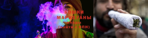 дмт Осинники