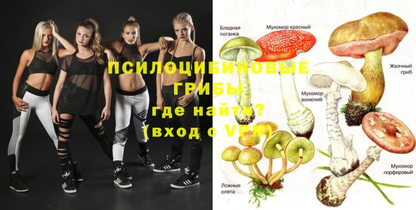 apvp Балабаново