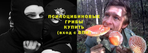apvp Балабаново