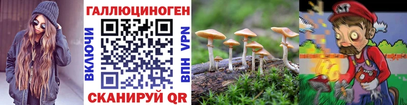 Псилоцибиновые грибы Psilocybe  как найти закладки  Поворино 